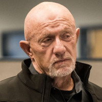Reference picture of Mike Ehrmantraut