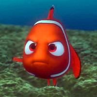 Reference picture of Nemo