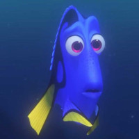 Reference picture of Dory
