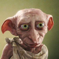 Reference picture of Dobby
