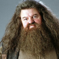 Reference picture of Rubeus Hagrid