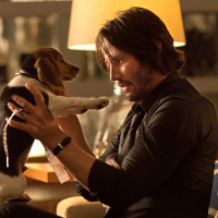 Reference picture of John Wick