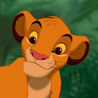 Reference picture of Simba