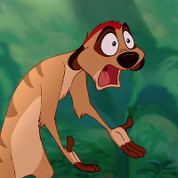 Reference picture of Timon