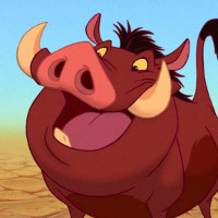 Reference picture of Pumbaa