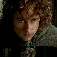 Reference picture of Pippin Took