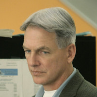 Reference picture of Leroy Jethro Gibbs