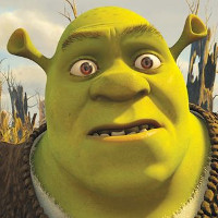 Reference picture of Shrek