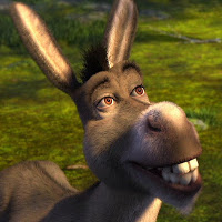 Reference picture of Donkey