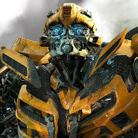 Reference picture of Bumblebee