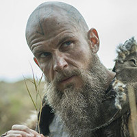 Reference picture of Floki