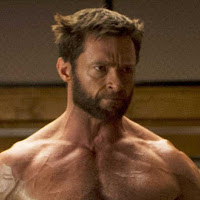 Reference picture of Wolverine